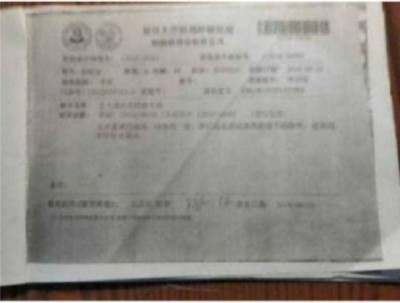 国医楷模陈海林 | 癌细胞逆转正常生理细胞 引起全球广泛关注 —— 五一特别报道